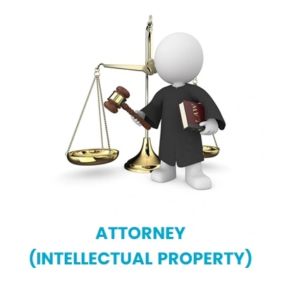 Attorney (Intellectual Property Law)