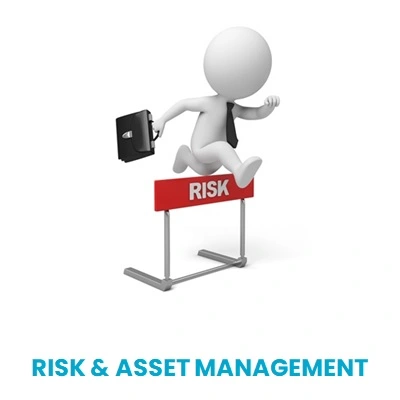 Risk and Asset Management